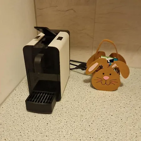 Voll Ausgestattet, Naehe Heiltherme Bad Waltersdorf Appartamento